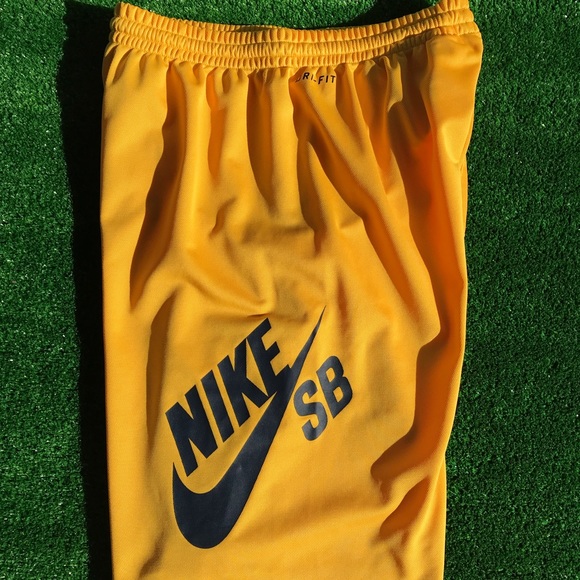nike sb dri fit shorts